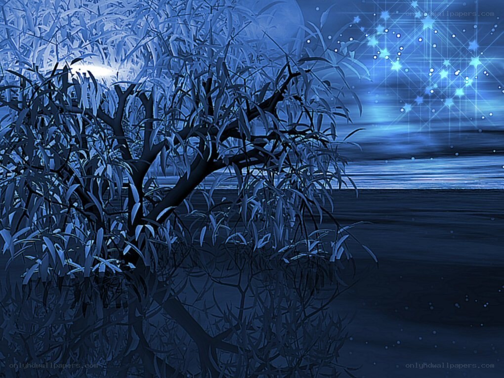 Blue night by the water
