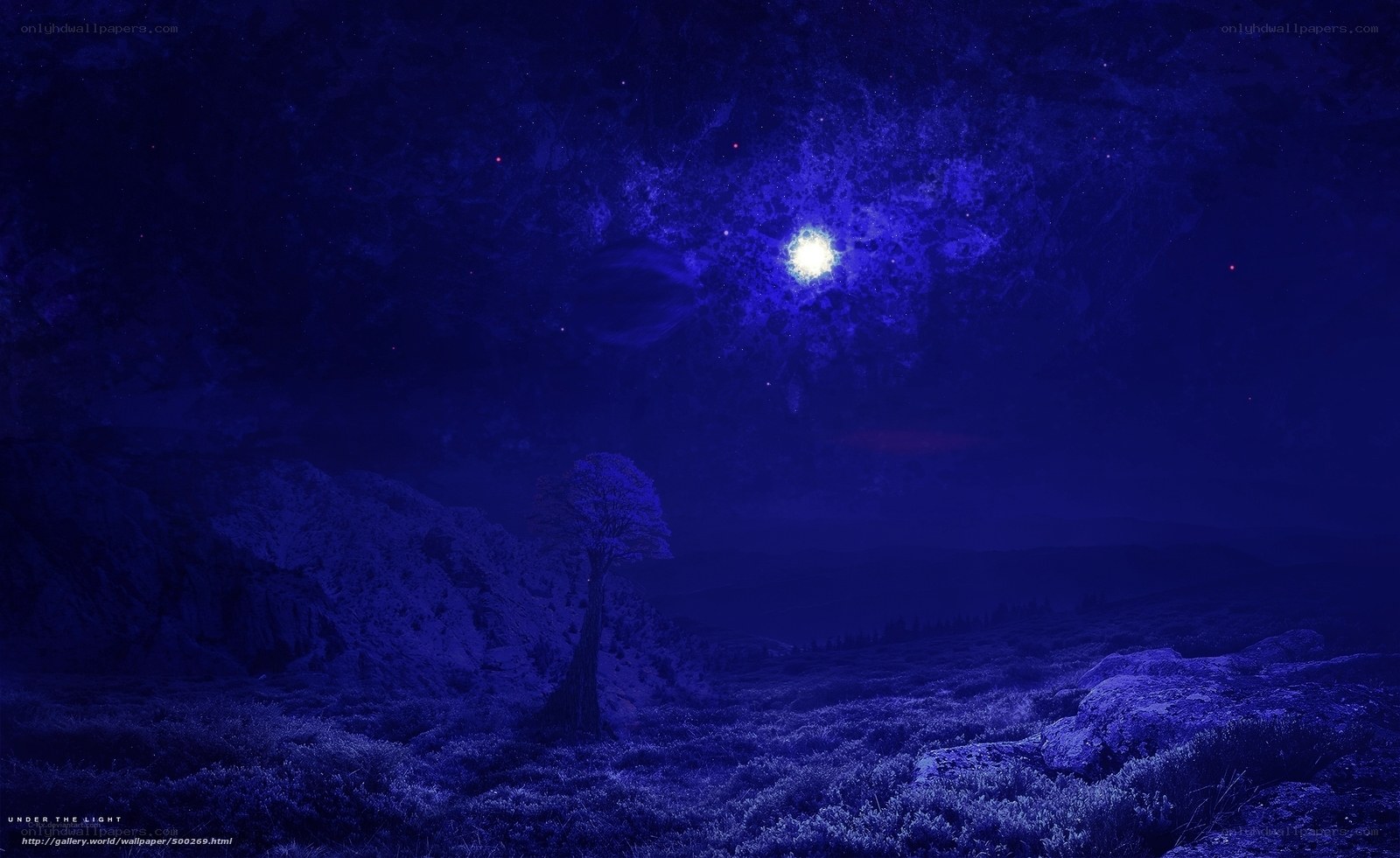 Blue night landscape with moon