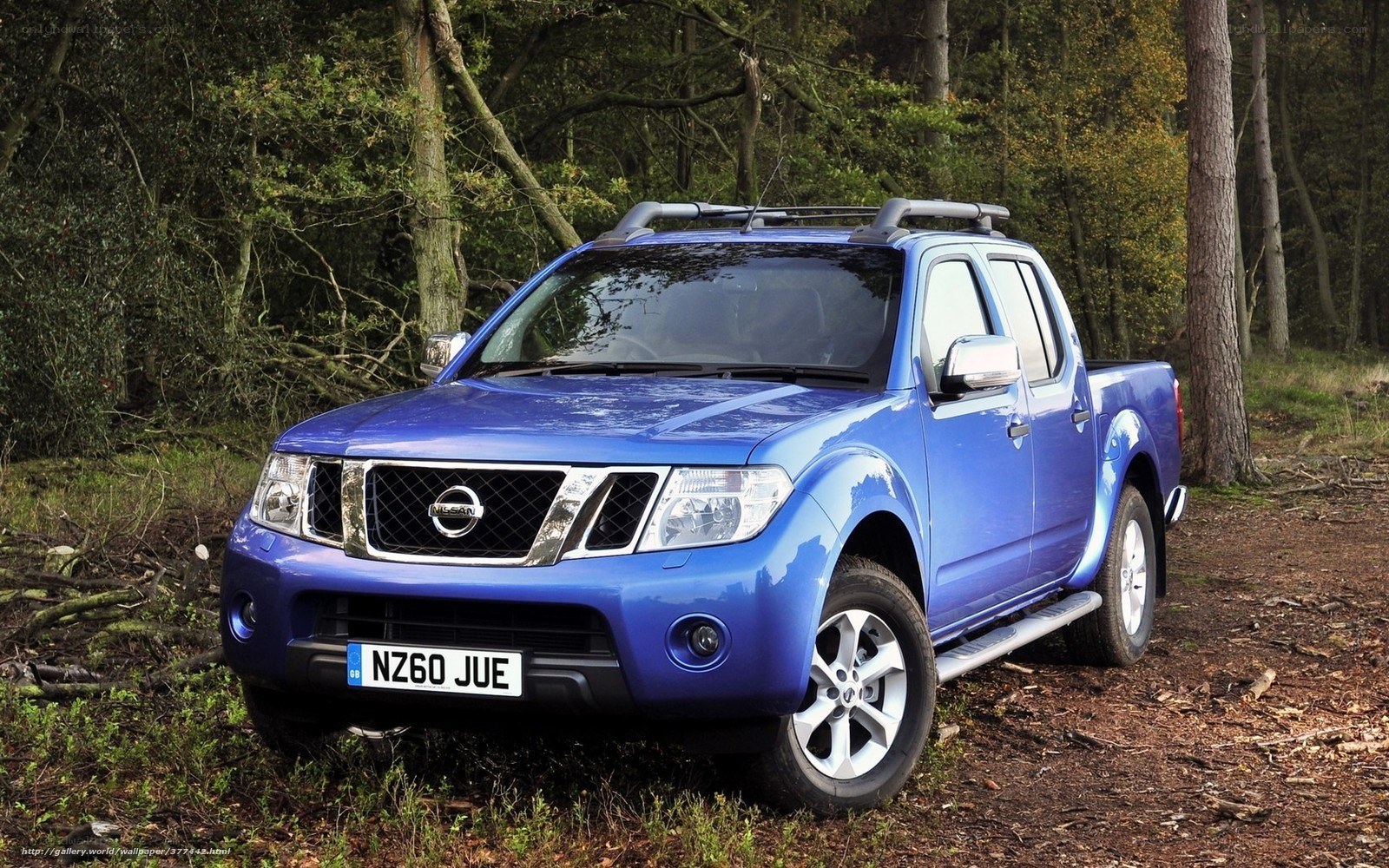 Blue Nissan Navara in forest