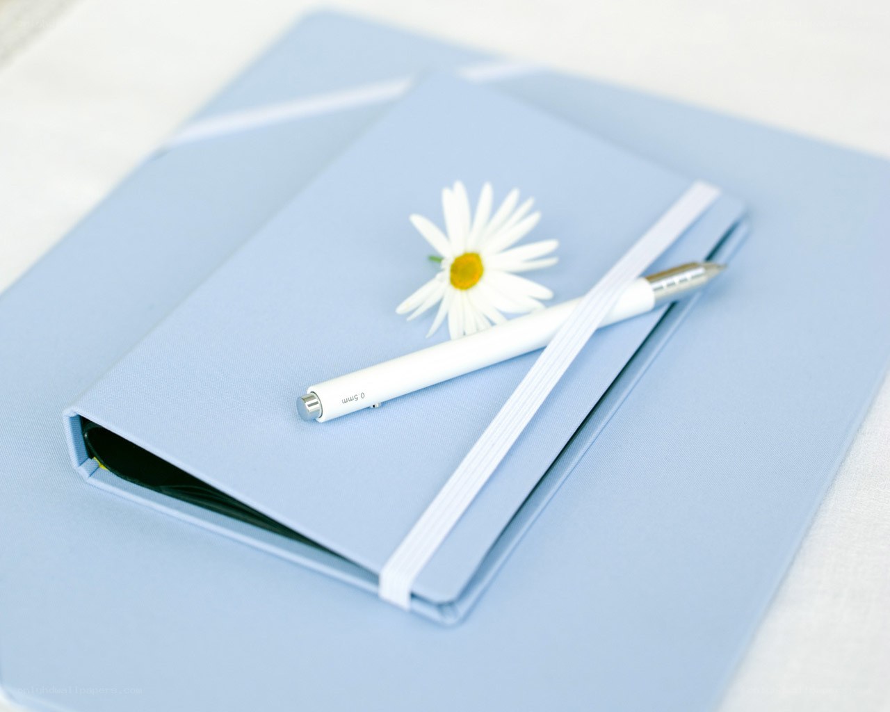 Blue notebook with daisy and pen