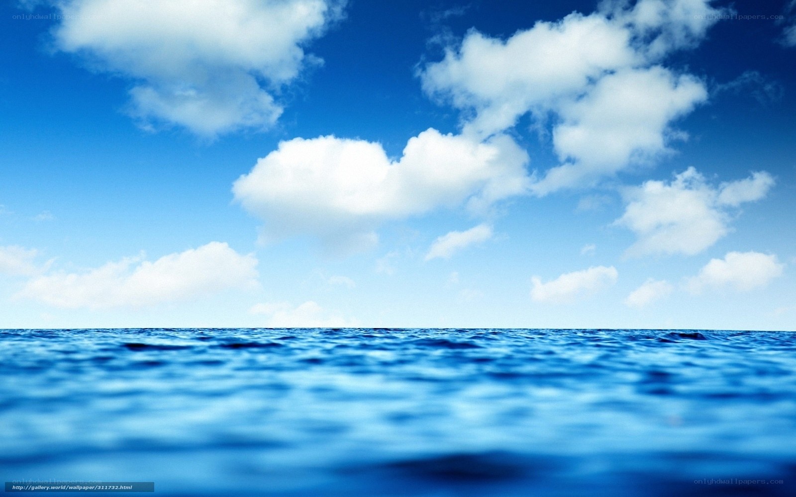 blue ocean under cloudy sky