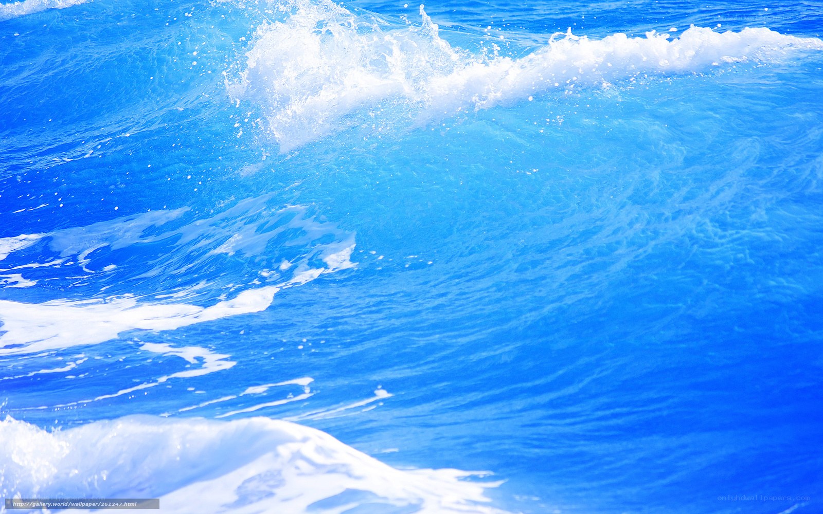 blue ocean wave in motion