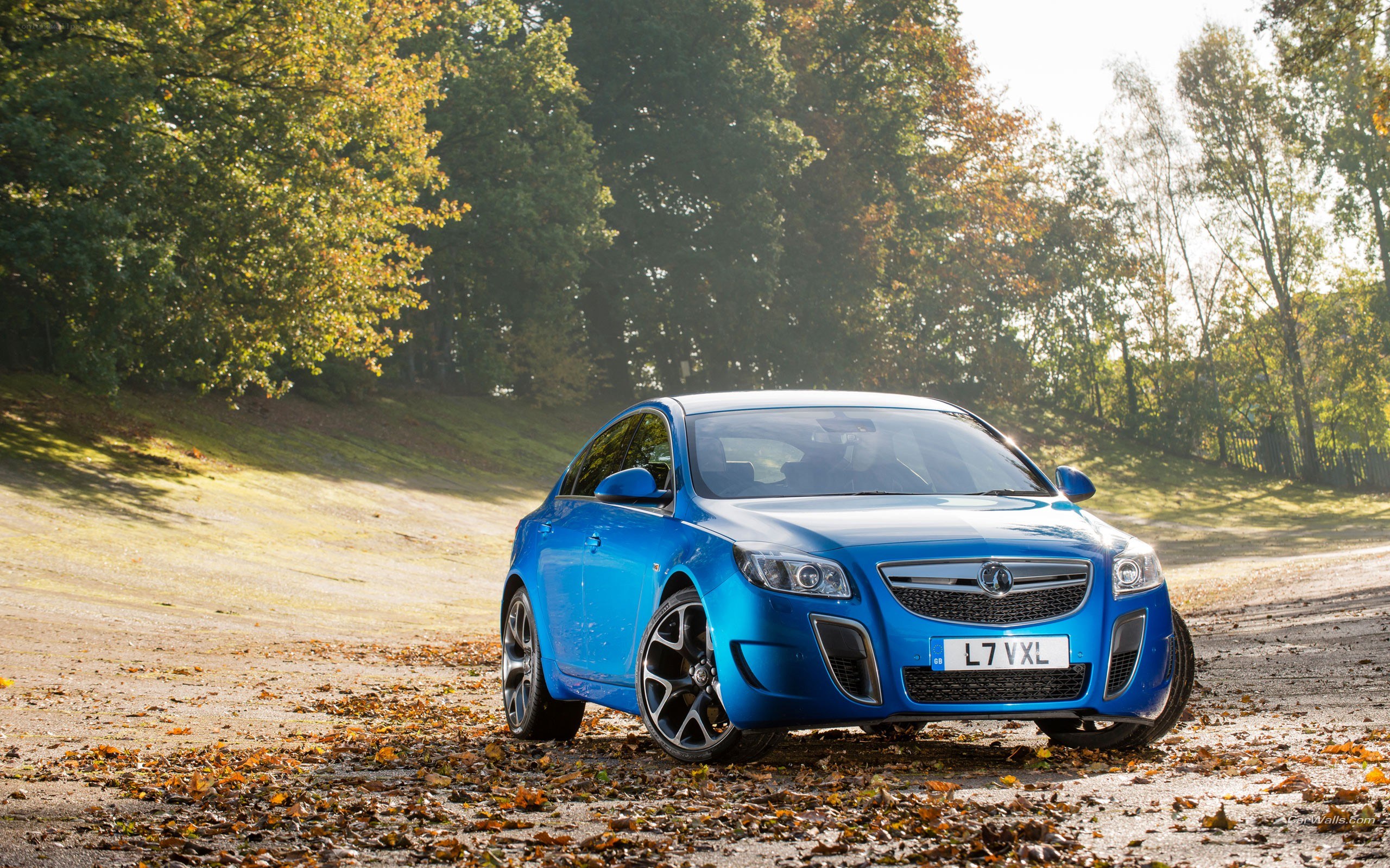 blue opel in autumn forest