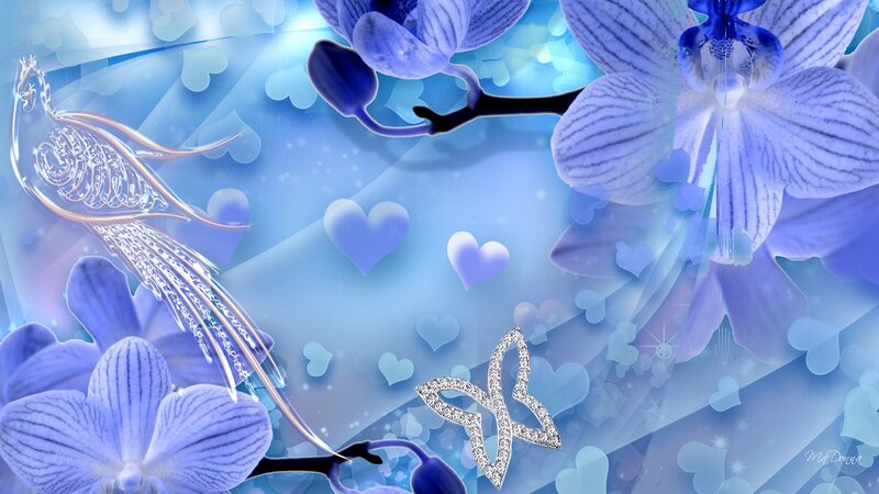 Blue Orchid and Bird