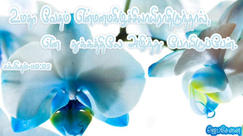 Blue Orchid Flowers — White, Serene, Photograph, Text