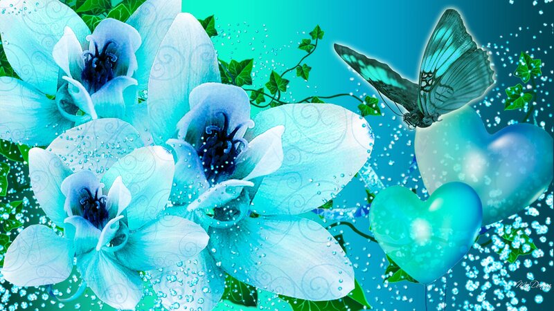 Blue Orchids and Butterfly