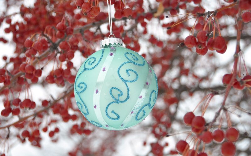 Blue Ornament on Berry Bush