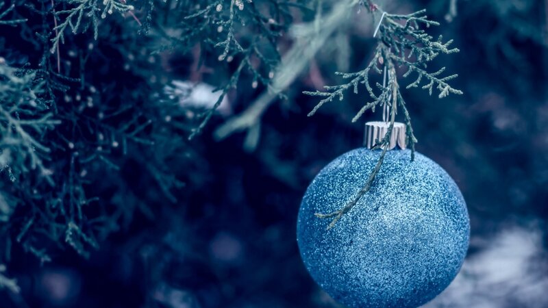 Blue Ornament on Branch — Calm, Winter