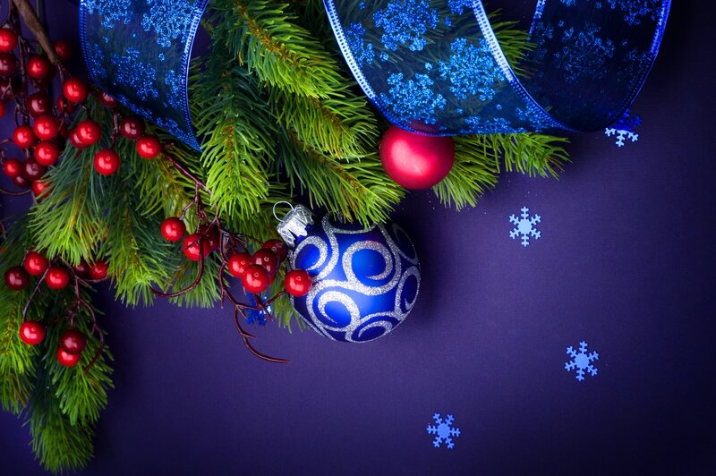 Blue Ornament on Branch — Festive