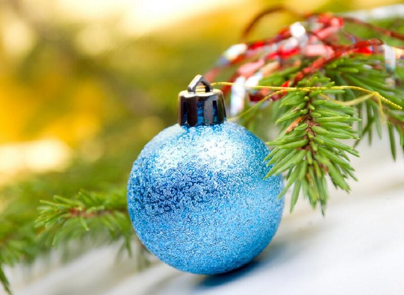 Blue Ornament on Branch — Festive, Winter, Photograph