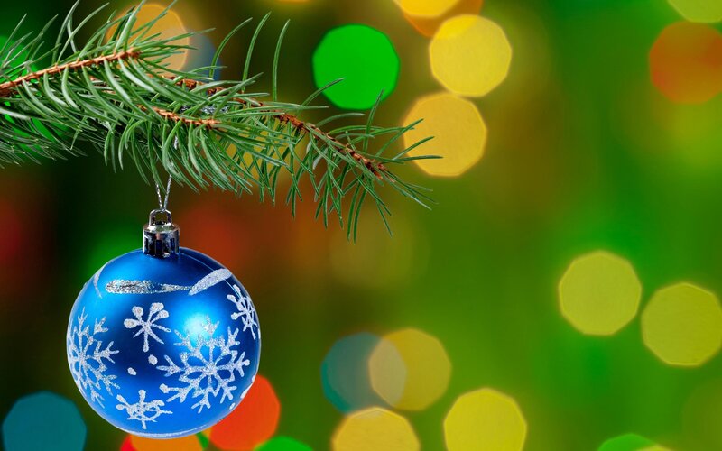 Blue Ornament on Branch — Green, Festive