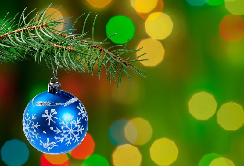Blue Ornament on Branch — Green