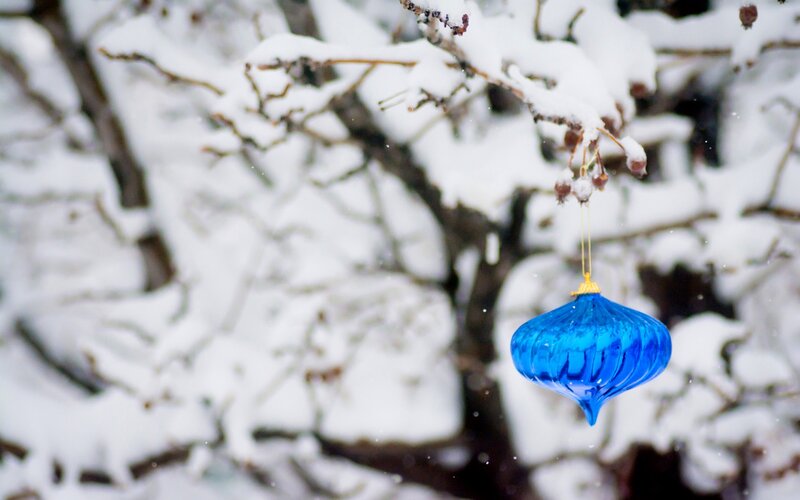 Blue Ornament on Branch — Serene