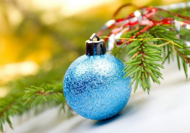 Blue Ornament on Branch