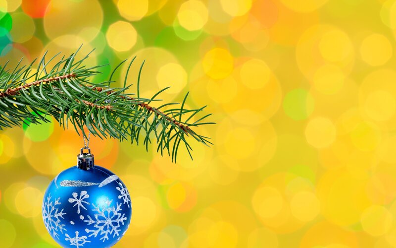 Blue Ornament on Branch — Yellow