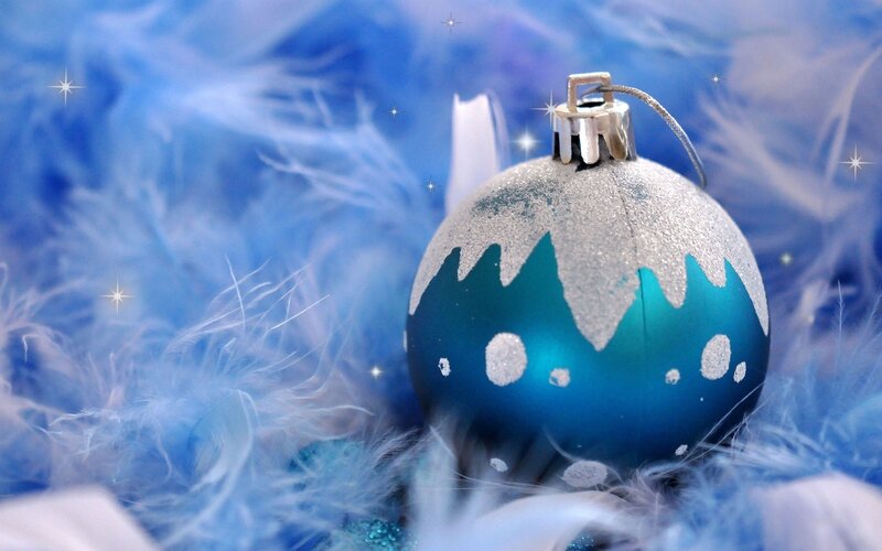 Blue Ornament on Feathers — Festive