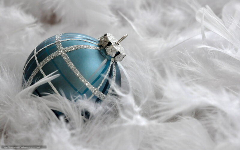 blue ornament on feathers