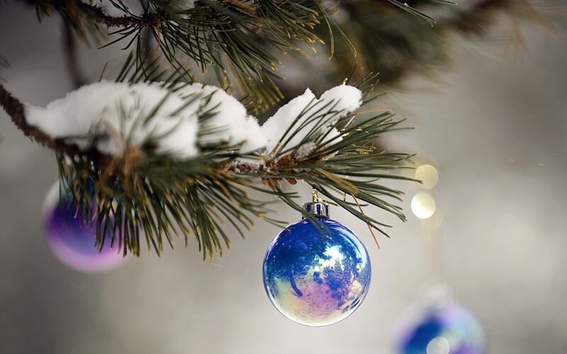 Blue Ornament on Pine Branch — Calm, Winter