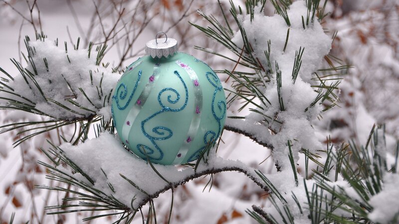 Blue Ornament on Pine Branch — Light Blue