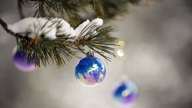 Blue Ornament on Pine Branch — Serene