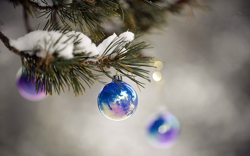 Blue Ornament on Pine Branch — Serene, Winter