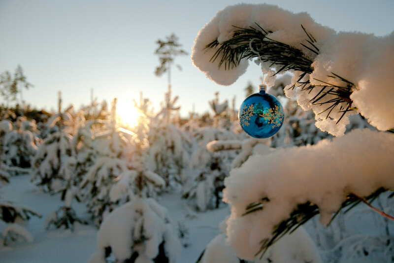 Blue Ornament on Pine Branch — White