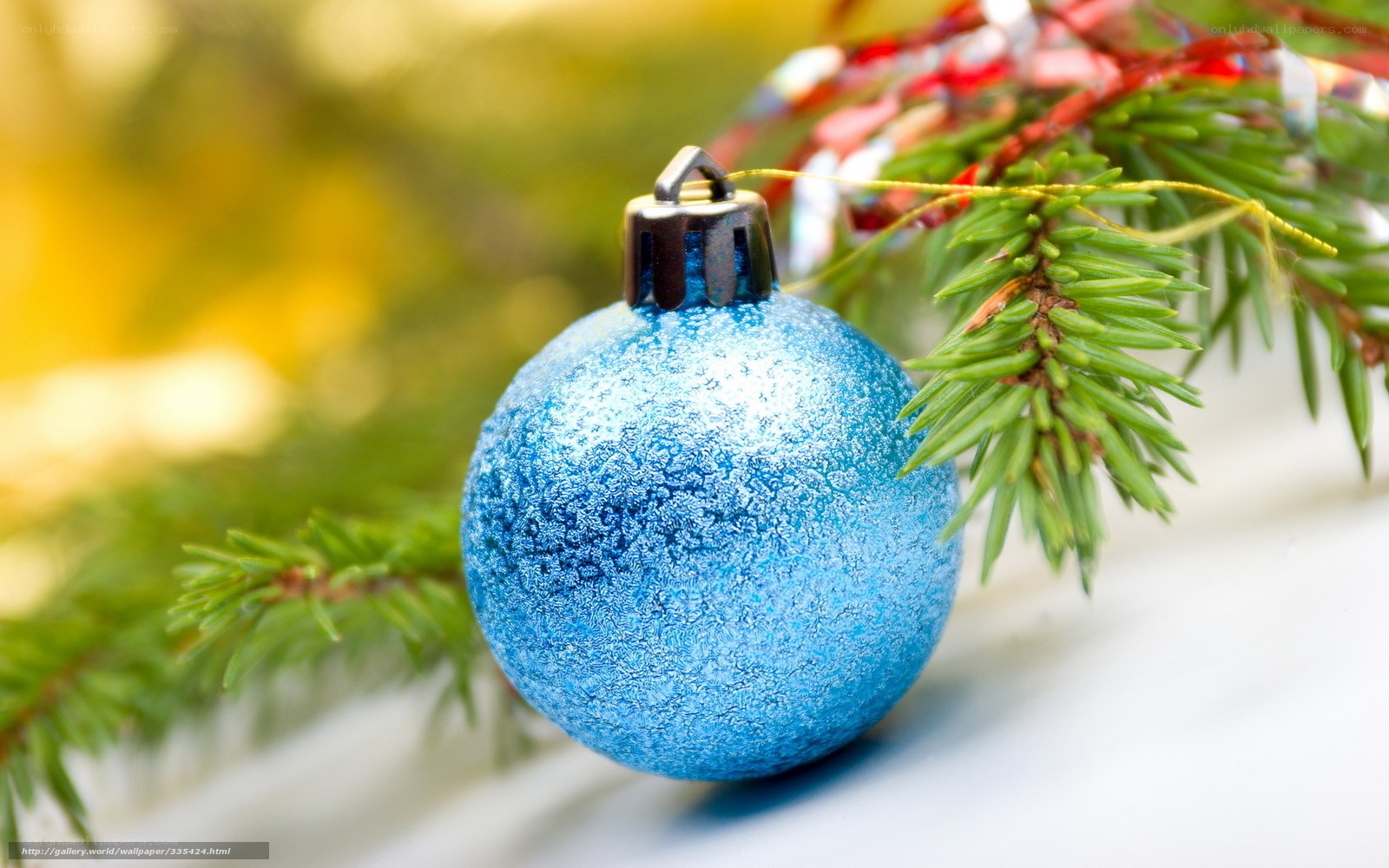Blue ornament on pine branch