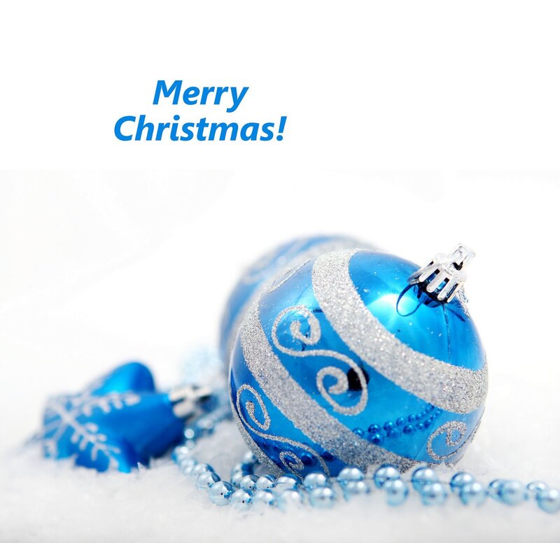 Blue Ornament on Snow