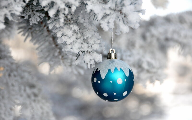 Blue Ornament on Tree — Calm