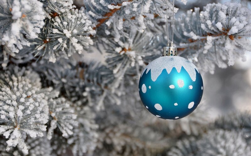 Blue Ornament on Tree — Calm, Winter