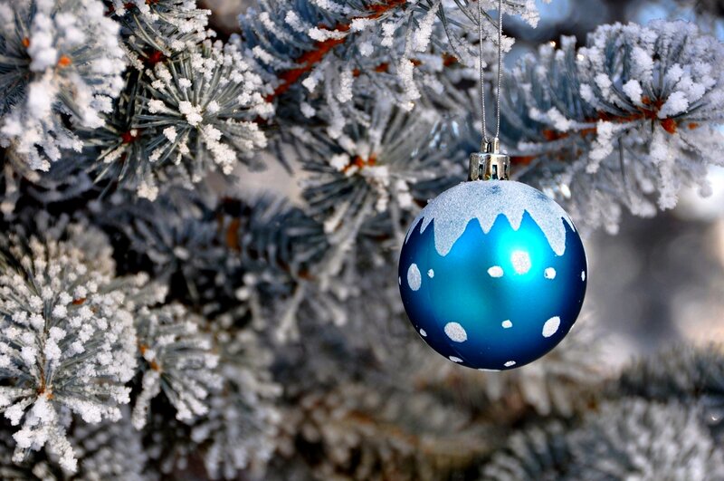 Blue Ornament on Tree — Festive, Winter, Photograph