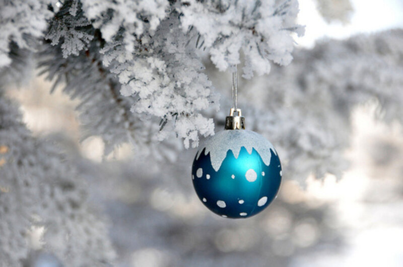 Blue Ornament on Tree — Serene