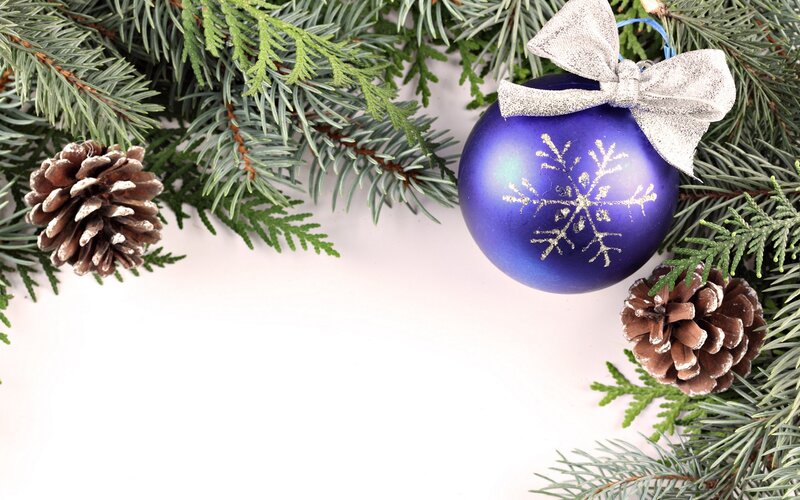 blue ornament with pine branches
