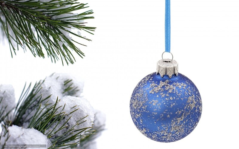 blue ornament with pine branches