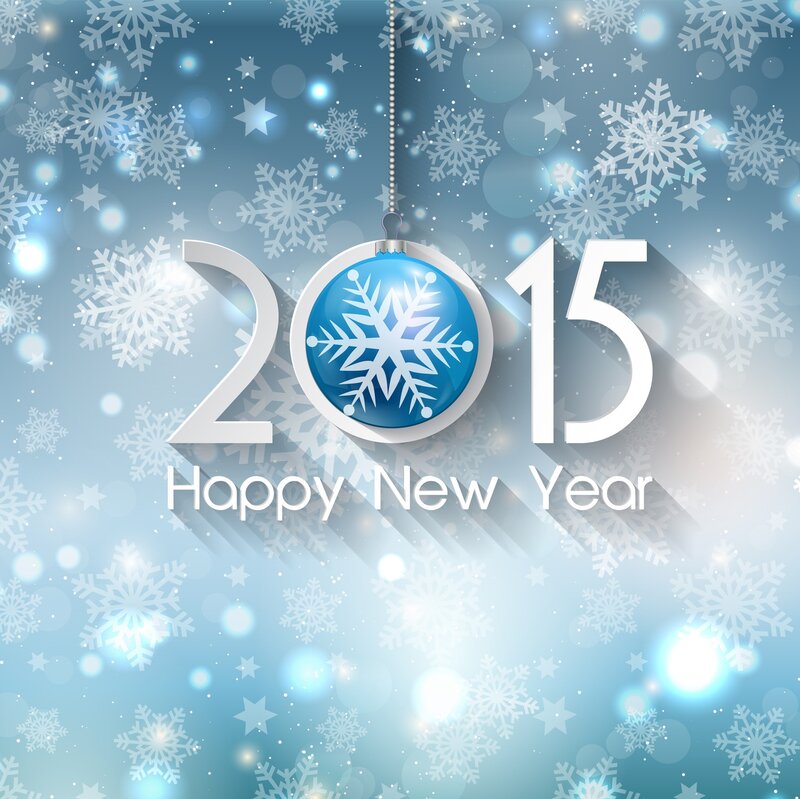 Blue Ornament with Snowflake — Festive, Winter, Vector Art