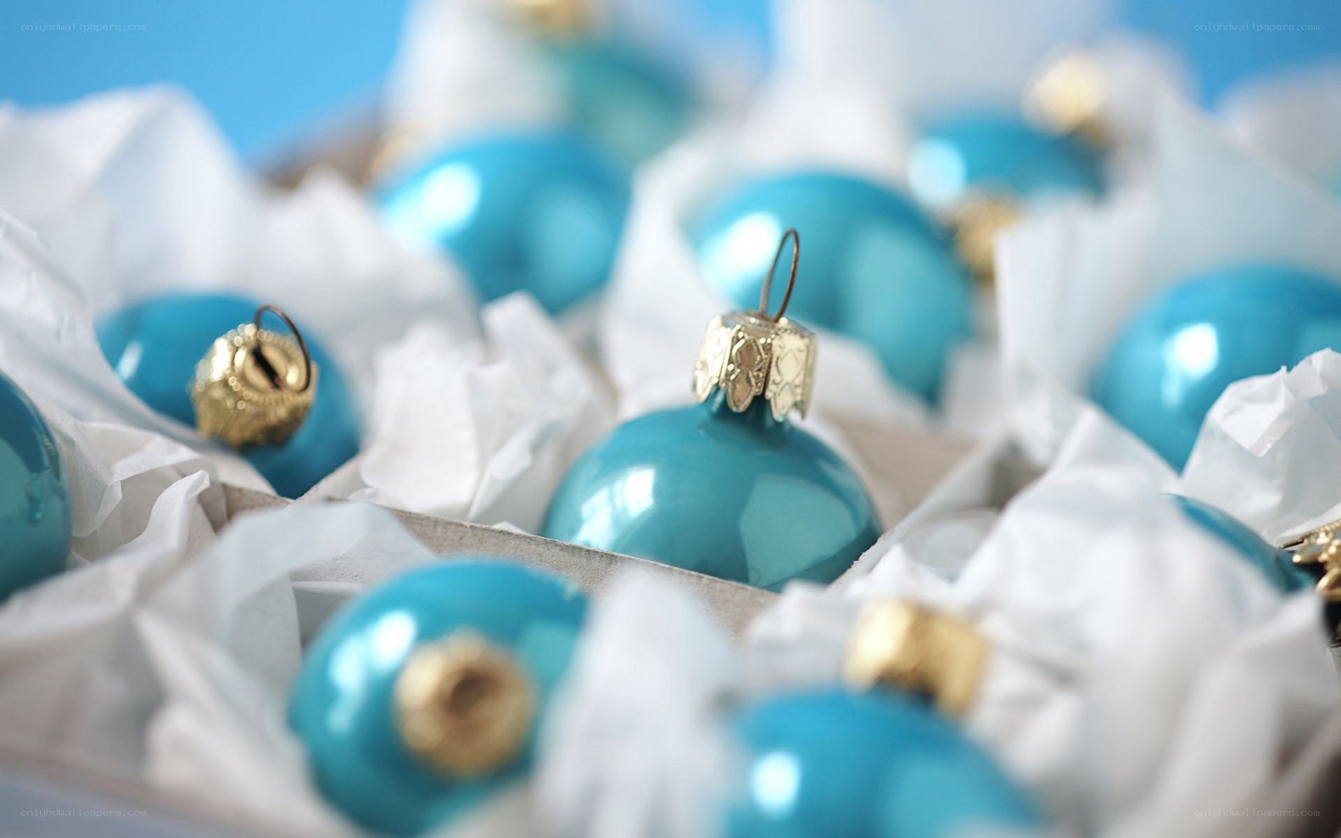 Blue ornaments in tissue paper