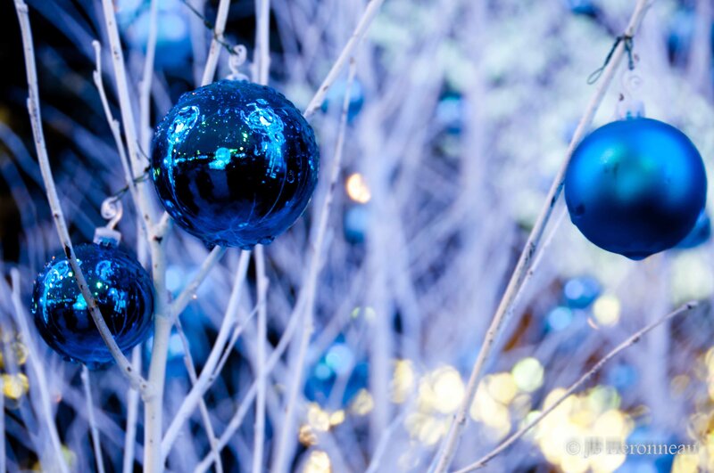 Blue Ornaments on Branches
