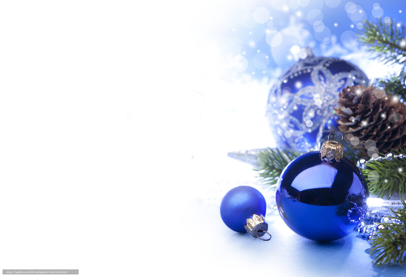 Blue Ornaments on Pine — Festive, Winter, Photograph, Pine Cones, Pine Branches