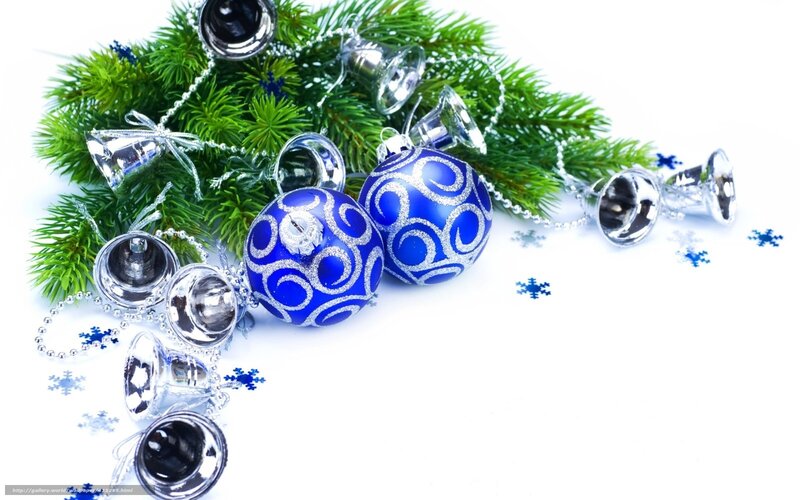 Blue Ornaments on Pine — Green, Festive, Winter