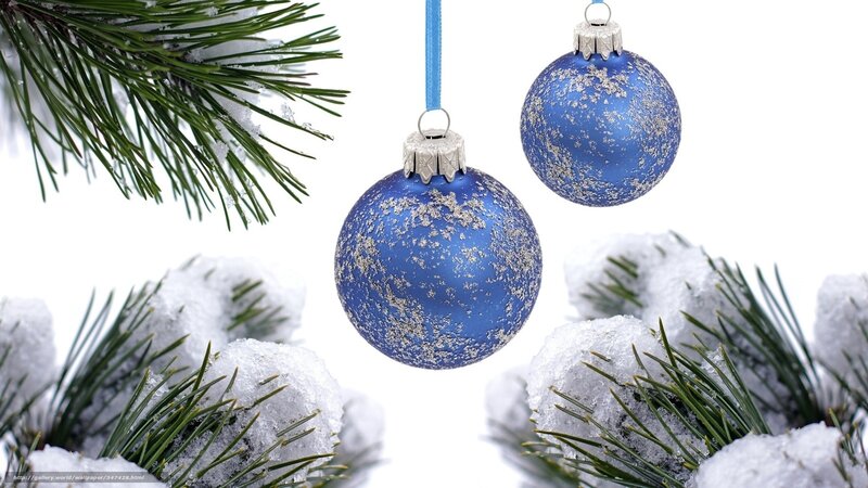 Blue ornaments on snowy pine