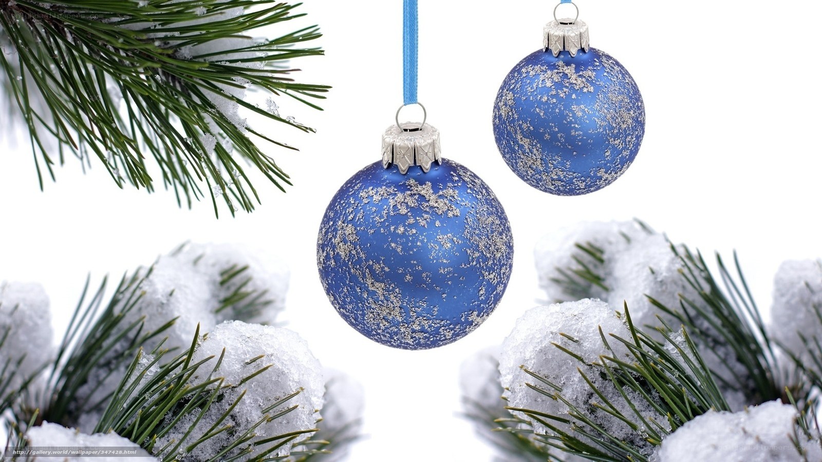 Blue ornaments on snowy pine