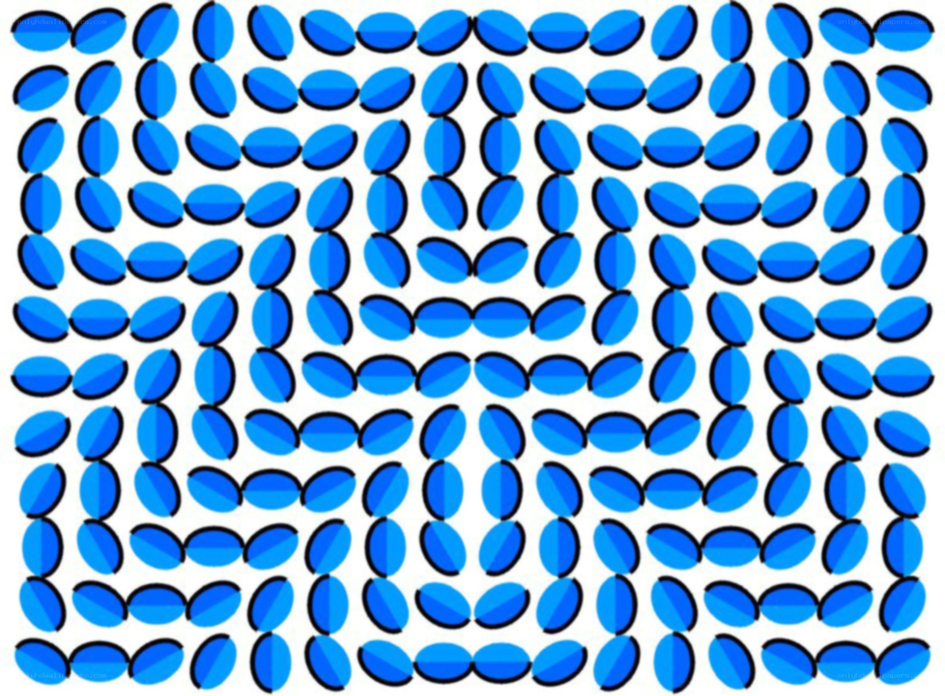 blue oval optical illusion