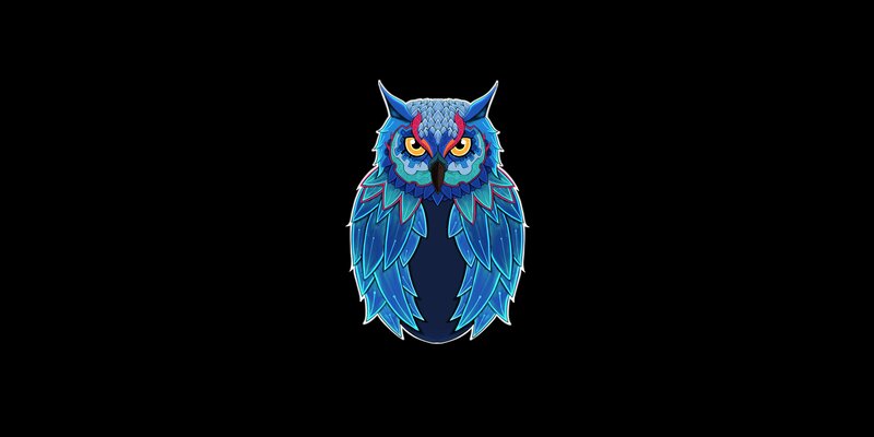 Blue Owl Illustration