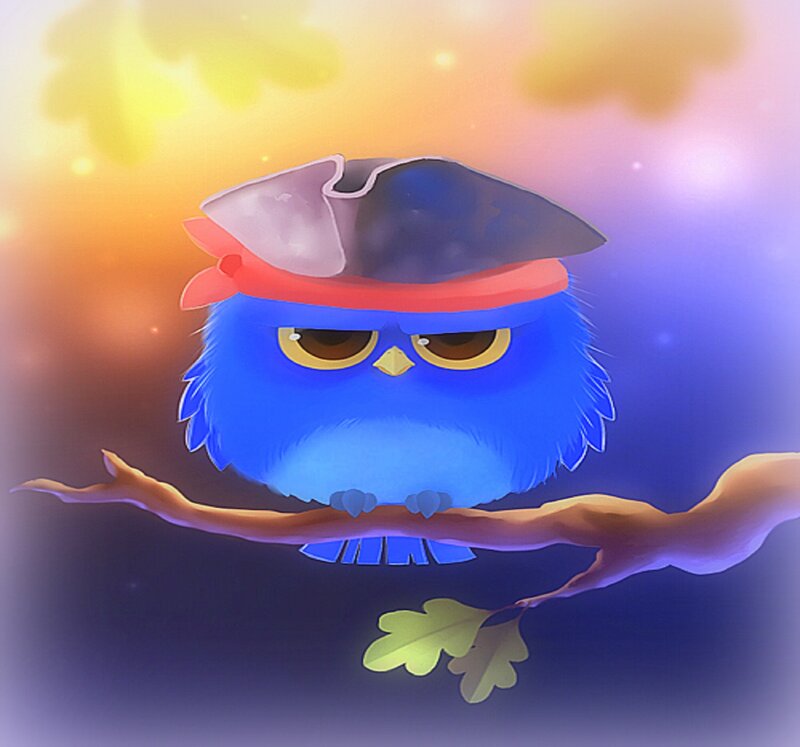Blue Owl in Pirate Hat