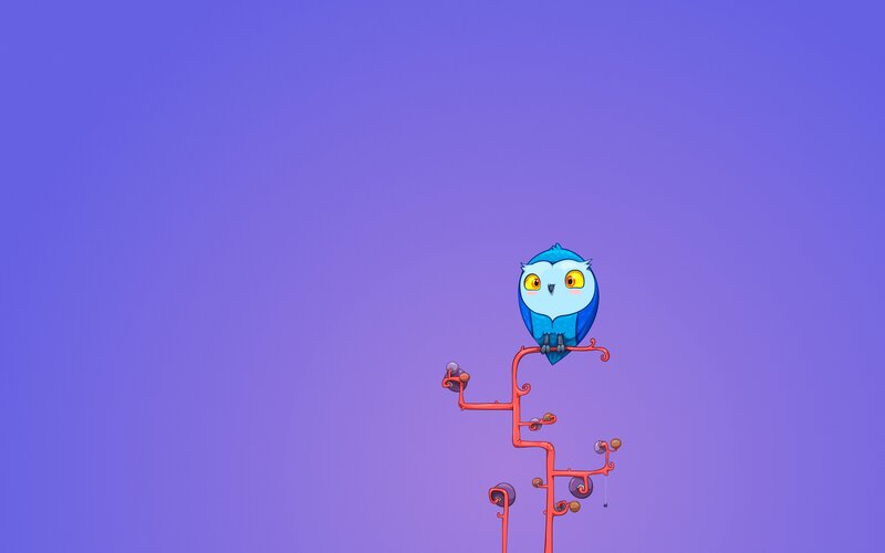 blue owl on a branch