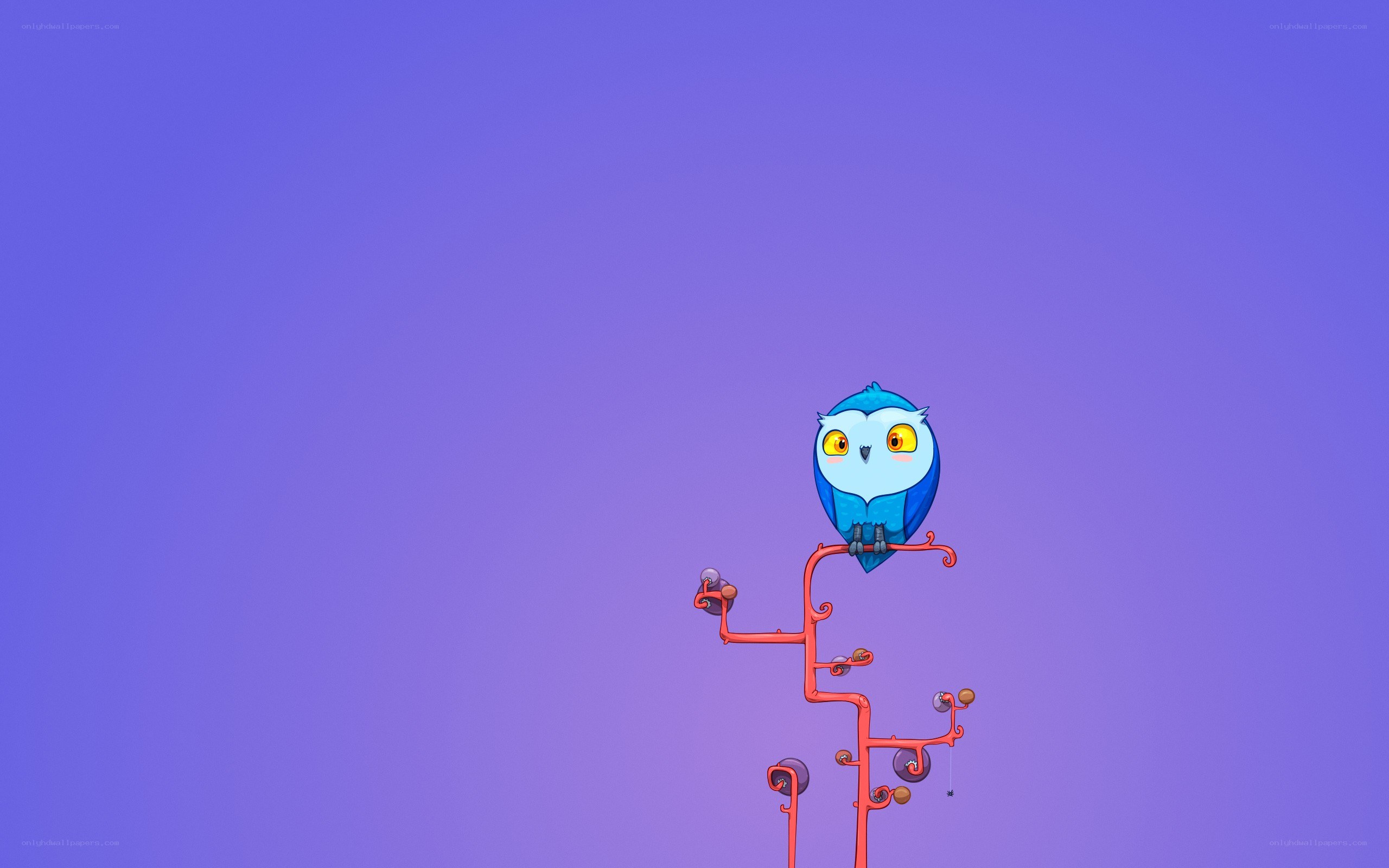 blue owl on a branch
