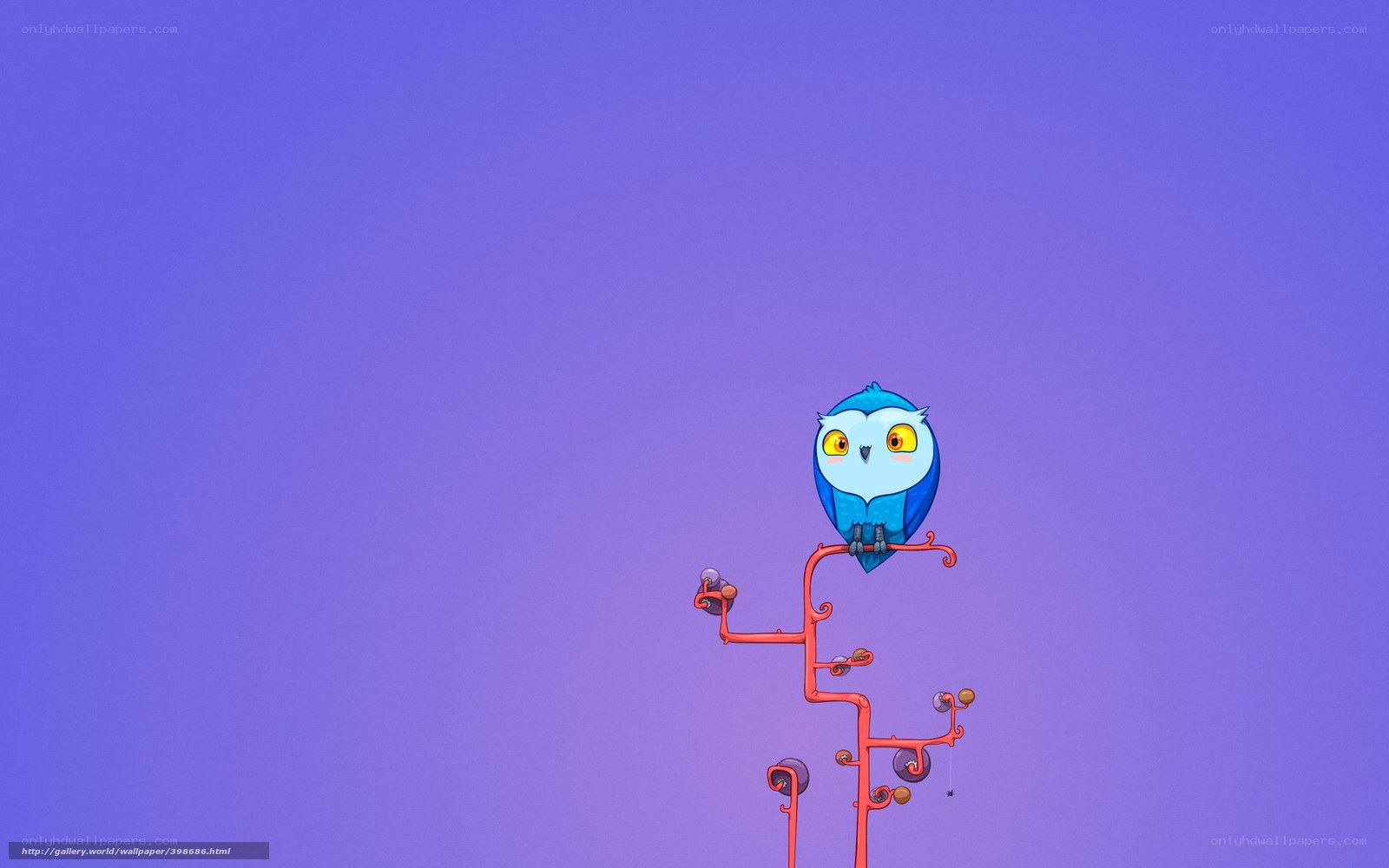 Blue owl on a branch