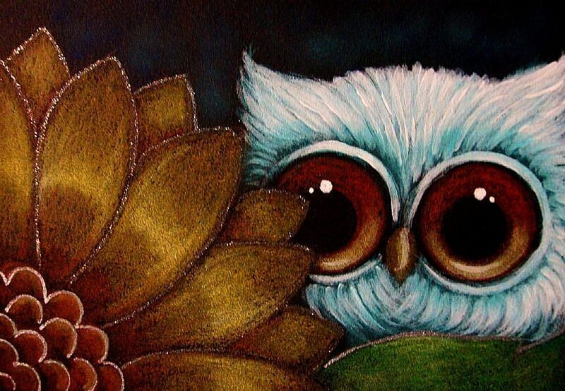 Blue Owl Peeking