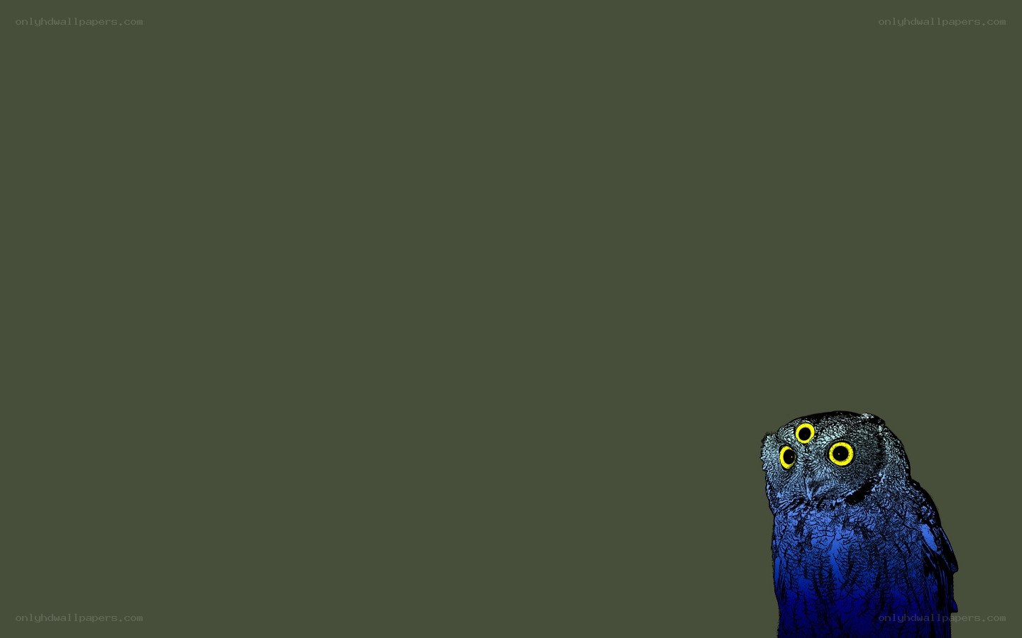 blue owl with yellow eyes