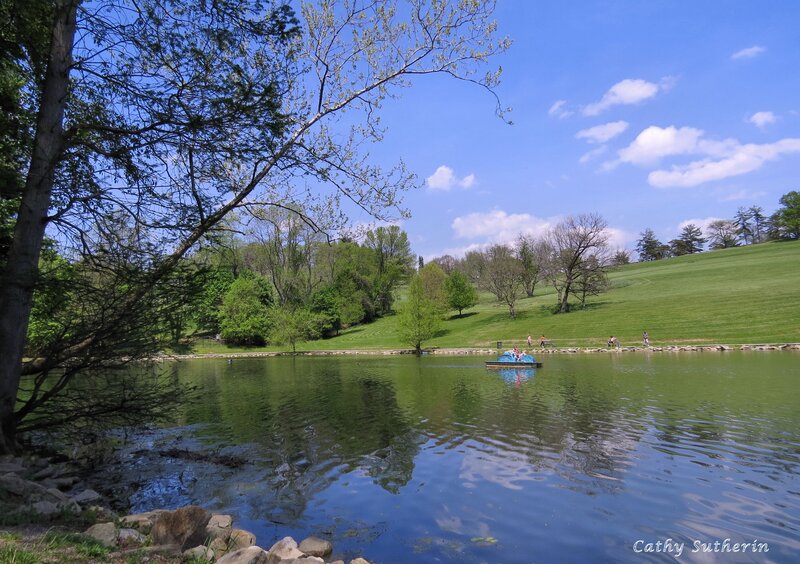 Blue Paddle Boat on Lake